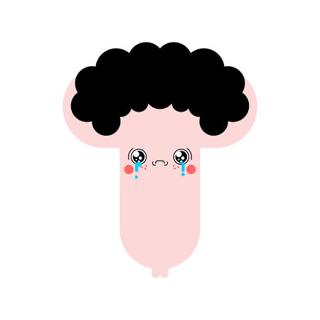 비뇨의학과전문의가 알려주는 올바른 비아그라의 복용법! [출처:한국도시환경해럴드]