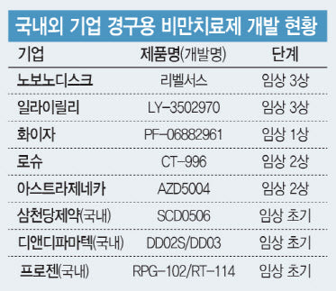 ‘위고비’ 밀고 100조원 시장 히든카드 ‘경구용’ 비만치료제 온다 !! 경구용도 노보노디스크 선두